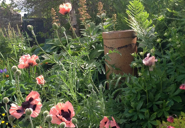 View Domestic Gardens