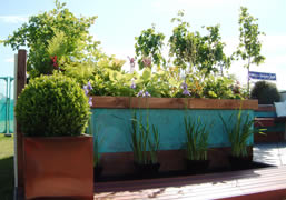 Gardening Scotland 2006