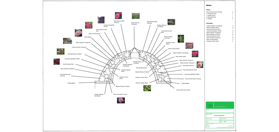 Border Planting Plan